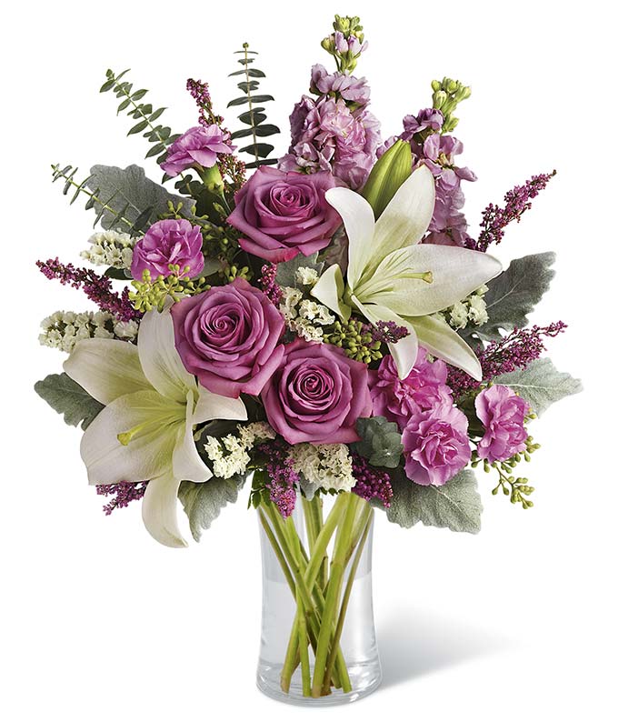 Purple Elegance - ROSE GARDEN