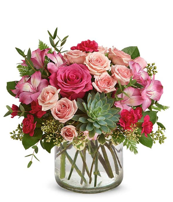 Pink Rose Succulent Garden - ROSE GARDEN