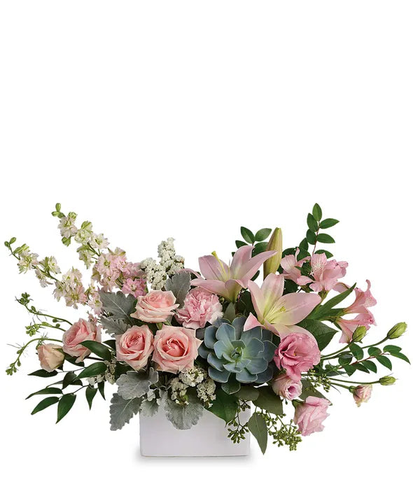 Modern Romance Succulent Arrangement - ROSE GARDEN