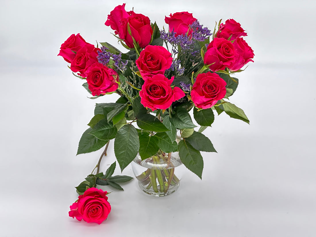 Luxurious Lush - ROSE GARDEN